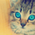 :icongreyxsilver101: