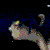 :icongriffdemoncat:
