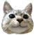 :icongrihmmy: