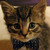 :icongrim4o4: