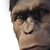 :icongrim55: