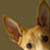 :icongrimmutt: