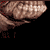 :icongrimmy3d: