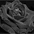 :icongrimsonashes: