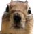 :icongrimvector: