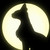 :icongrinlesscheshire: