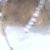:icongrinner-666:
