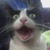 :icongrinning-kitty87:
