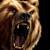 :icongrizzlybear09: