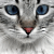 :icongrogonia: