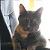 :icongroovy-designs88: