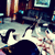 :icongroovyblues:
