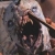 :iconGros-Bisounours: