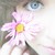 :icongrouchyrabbit: