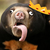 :icongrowlybear88: