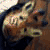 :icongrraff: