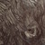 Grrrib :icongrrrib:
