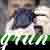 :icongrunner:
