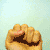 :icongryffon: