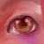 :icongryphonfish: