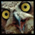 :icongryphonmoons: