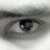 :icongsantovena: