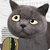 :icongta-master: