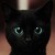 :icongtg360onya: