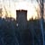 :iconGuardian0660: