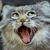 :iconguardian752: