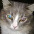 guardianhawkpool :iconguardianhawkpool: