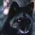 :iconGuardianKitsune: