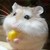 :icongudinephshar: