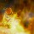 :icongudrax-the-assassin: