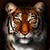 :icongudvin86: