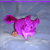 :iconguerrand: