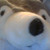:iconguesswhatilikewolves: