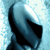 :icongugadetoni: