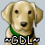 :iconguidedoglover: