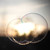 :iconguidetolife: