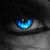:iconguihena: