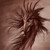 :iconguik77: