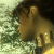 :iconguildie-girl: