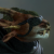 :iconguildwars-2: