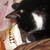 :iconguineagirl106: