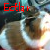 :iconguinealove: