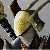 :iconguitar-fish: