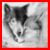 :iconguitar20: