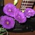:iconguitargirl666: