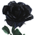 :iconguitarlover28: